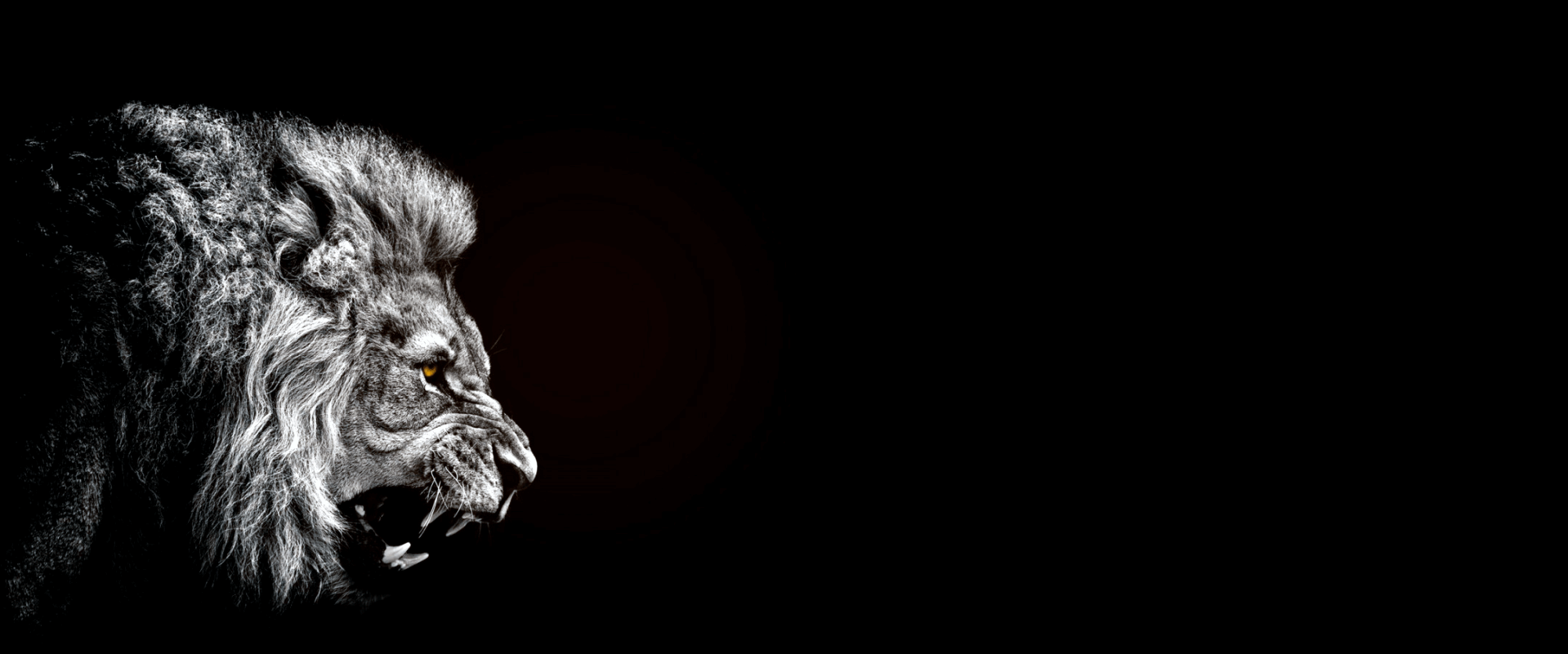 ALFA NEGOCIO - Contabilidade | Gestão de negócios | Segurança do Trabalho | Recrutamento e Seleção | Certificado Digital